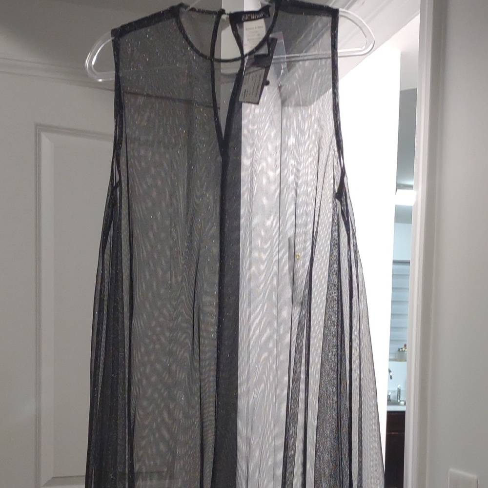 Chic Sheer Black Dress